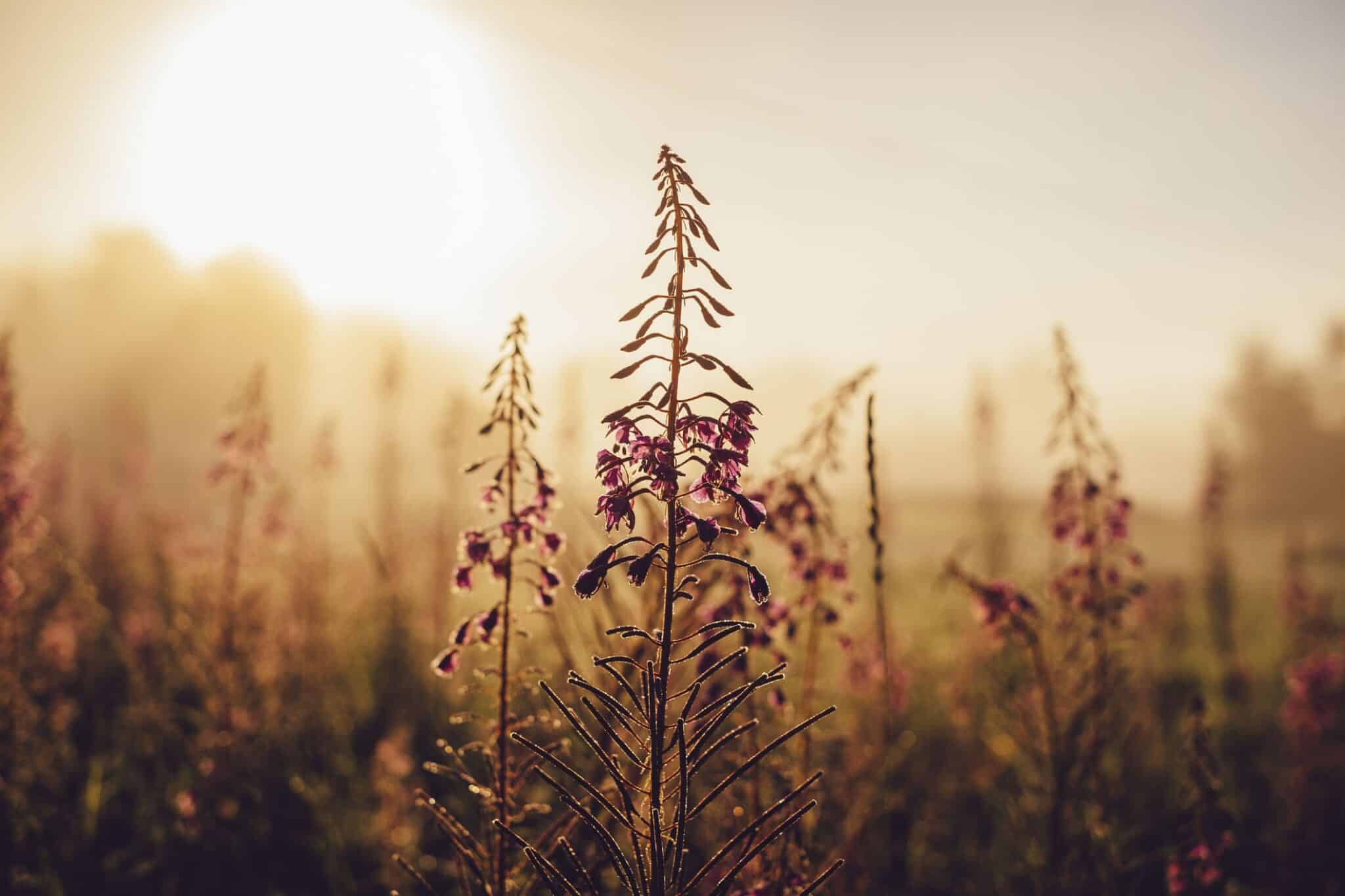 Lad os stå for dit næste projekt. Her kan du få et indblik i, hvad vi kan hjælpe dig med på dette område.