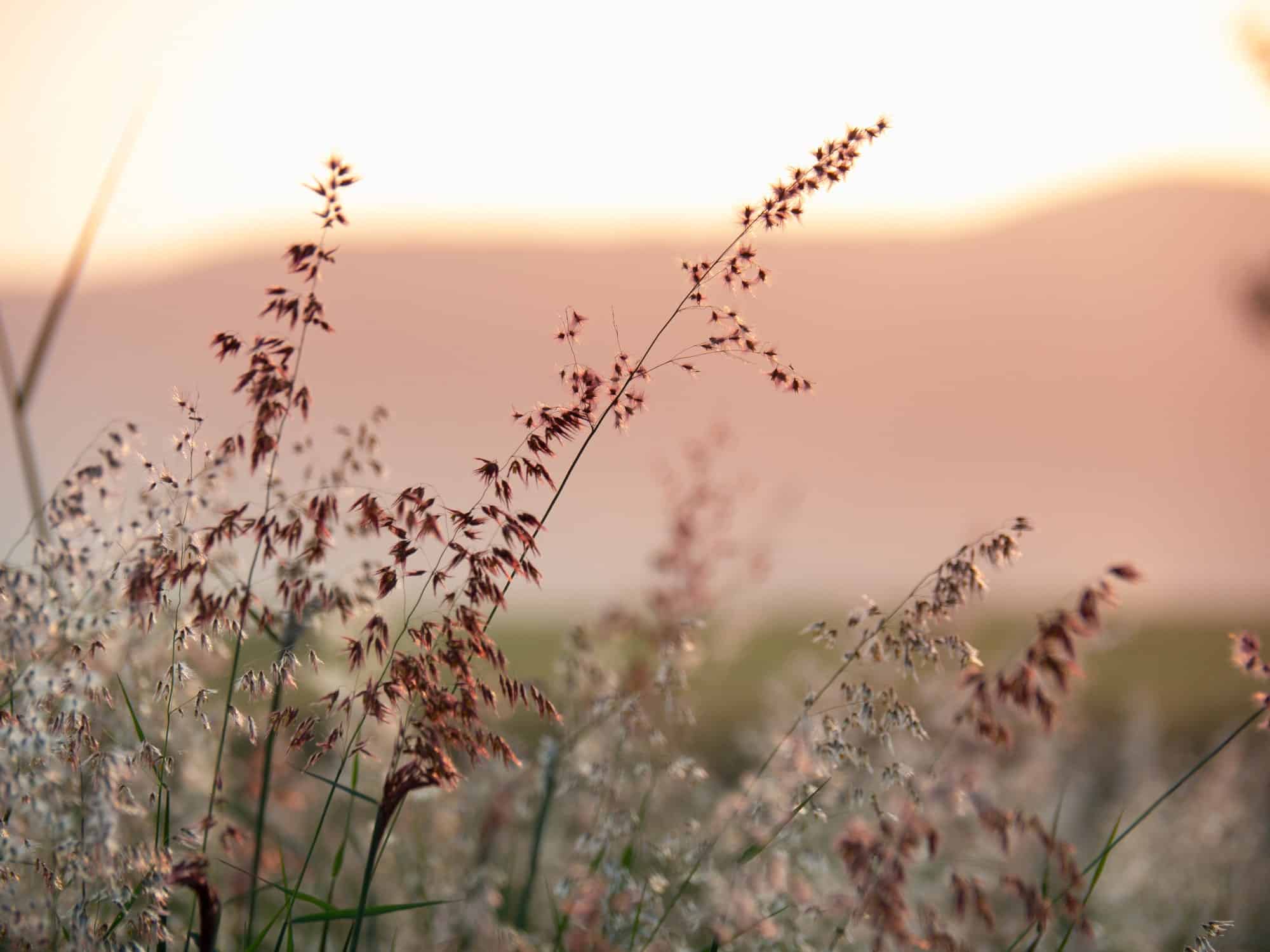 Lad os stå for dit næste projekt. Her kan du få et indblik i, hvad vi kan hjælpe dig med på dette område.